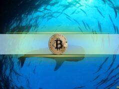 Are Whales Tightening Their Grip on Bitcoin Exchange Supply?
