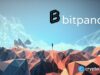 Bitpanda grows revenue 16% in 2025, locks in MiCA license and new markets