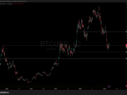 India Arrests Suspect in Alleged GainBitcoin Ponzi Scheme