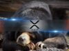 XRP’s Bearish Structure Holds – But Can Bulls Flip the Trend?