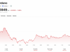 Hyperliquid Closes in on Cardano: Is HYPE Price On Verge of Pump to $50?