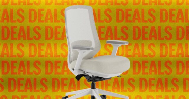 The-Best-Office-Chair-is-Cheaper-Than-Wex27ve-Seen-Before.jpg