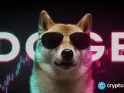 Secure DOGEBALL now, the best crypto presale to invest in 2026 before the SOL-style run