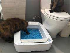 PetSafe ScoopFree litter box review: A non-enclosed Litter-Robot alternative on a budget