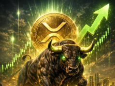 Expert Claims Ripple Is Next to Secure Fed Master Account After Kraken Win— Here’s Why