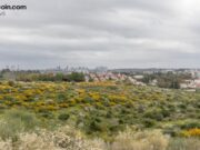 Enlivex Announces $21M Debt Financing and Prediction Markets Treasury Expansion – News Bytes Bitcoin News