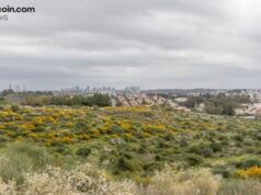 Enlivex Announces $21M Debt Financing and Prediction Markets Treasury Expansion – News Bytes Bitcoin News