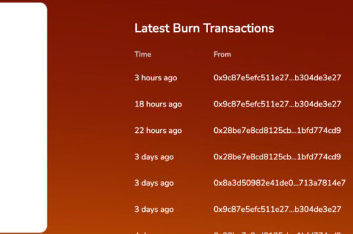 Shiba Inu Price Analysis: Burn Rate Skyrockets 53,000% – What Does This Mean?