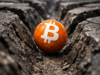 Bitcoin Market Update: BTC Stuck in Tight Range as Volatility Drops and Breakout Looms