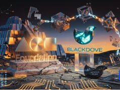 NFT Platform Foundation Shuts Down After Failed Rescue Deal With Blackdove