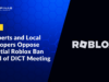 IT Experts and Local Developers Oppose Potential Roblox Ban Ahead of DICT Meeting