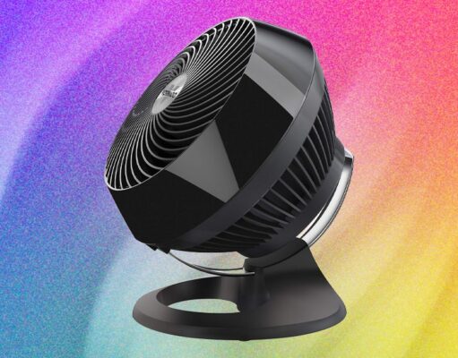 The 11 Best Fans to Buy Before It Gets Hot Again (2026)