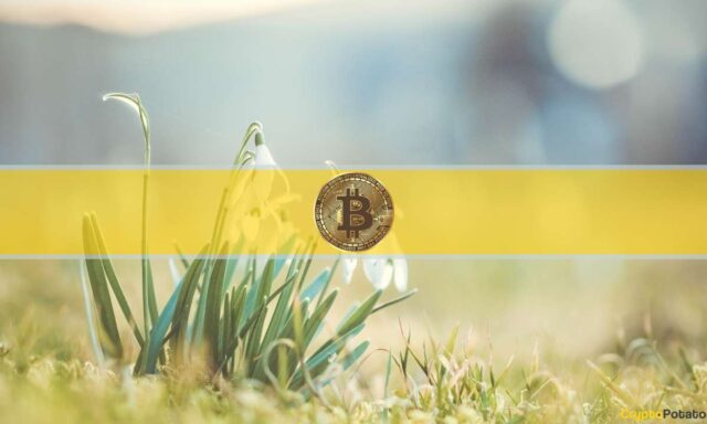 spring_bitcoin_cover.jpg