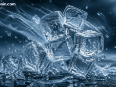 Tether Freezes $344 Million in USDT With OFAC and US Law Enforcement