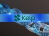 After Disputing LayerZero Claims, KelpDAO Prepares Chainlink CCIP Migration