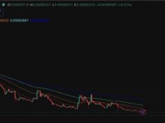 Cardano Hoskinson’s Called Bitcoin Dumb: His Rants Don’t Move ADA