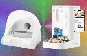 These 11 Automatic Cat Feeders Were the Best We Tested in 2026