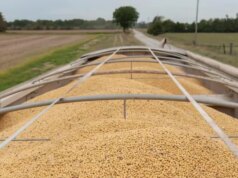 China agrees to purchase $17B in US agricultural products annually through 2028