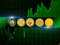 ETH, XRP, ADA, BNB, and HYPE