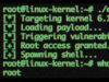 Dangerous New Linux Exploit Gives Attackers Root Access to Countless Computers